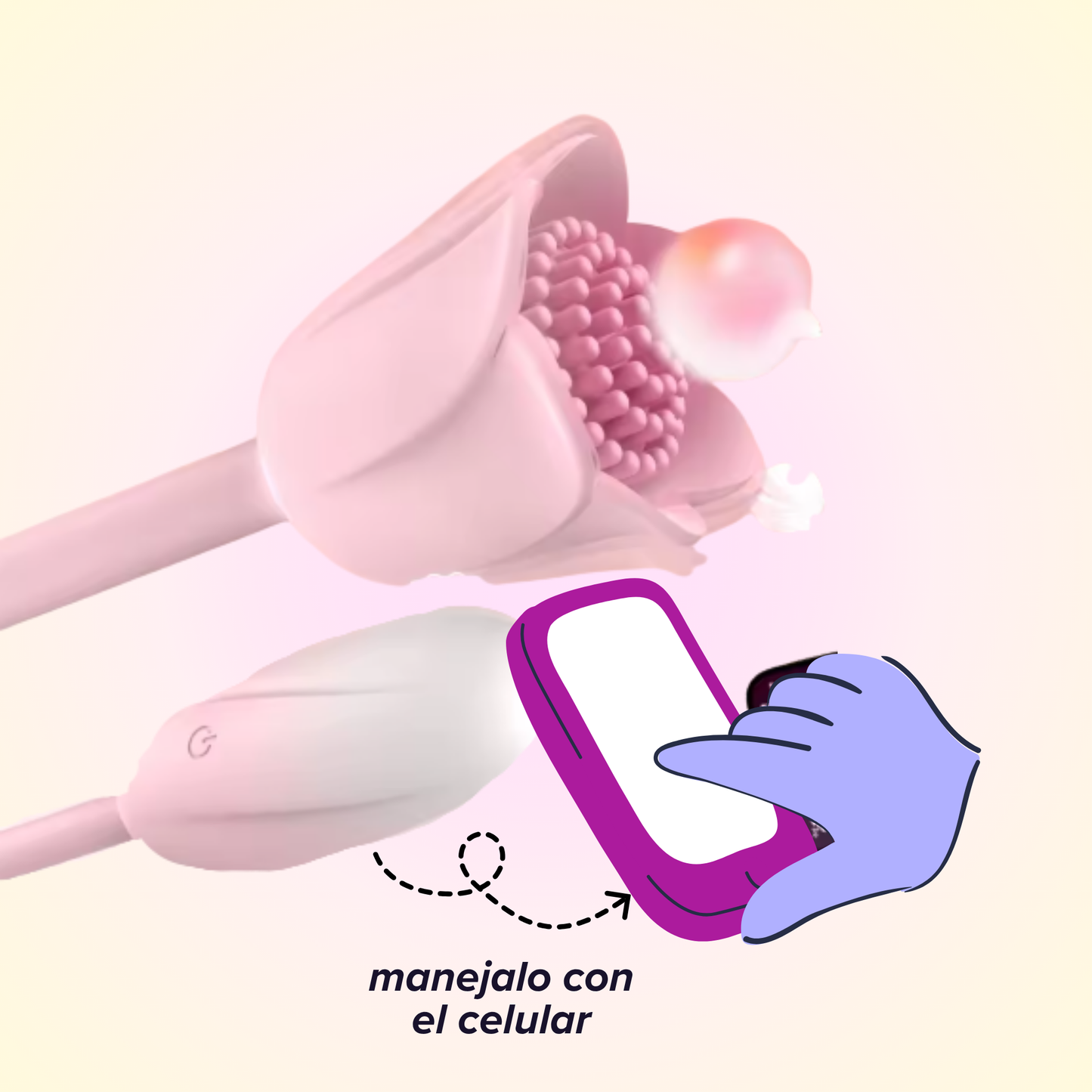 Rosa Encantada + APP