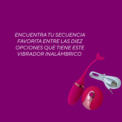 Vibrador Inalámbrico Multifunción