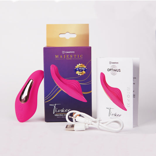 Vibrador Para Panty Tinker Con App Camtoyz